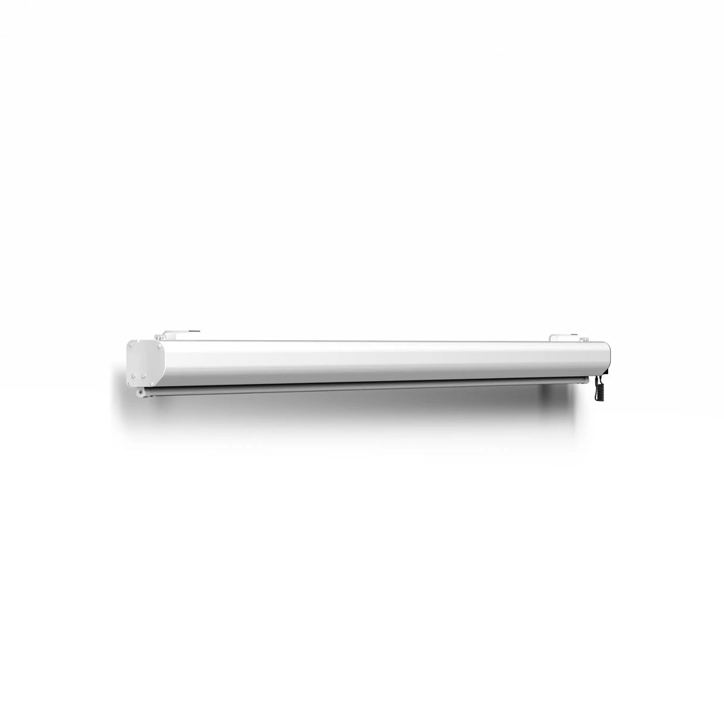 Valerion 120" Backyard Weather Proof Motorized Drop Down Matte White Screen